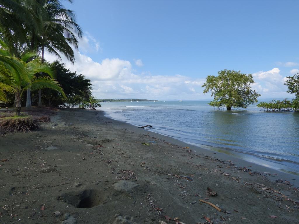 Corcovado Beach Lodge Puerto Jimenez Exterior photo