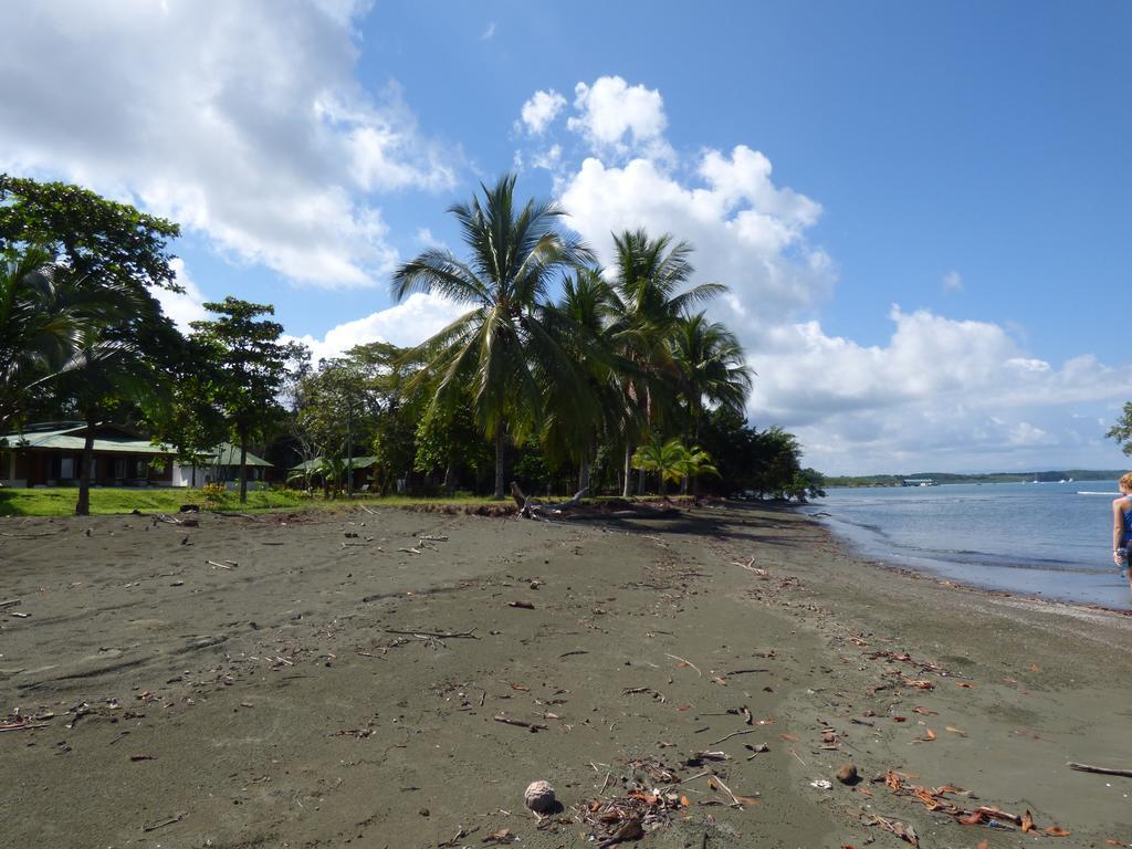 Corcovado Beach Lodge Puerto Jimenez Exterior photo